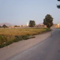 زمین باغی