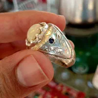 انگشتر شجر|جواهرات|تهران, جی|دیوار