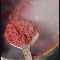 رب خانگی
