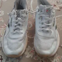 کفش اسپورت تاناکورا