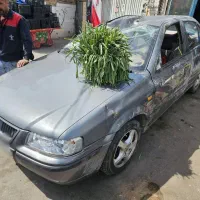 سمند تصادفی ۸۶ دوگانه