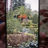 گوشی آیفون ۱۲ پرو مکس حافظه ۲۵۶|موبایل|مشهد, الهیه|دیوار