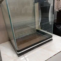 اکواریوم شیشه خارجی خم