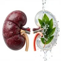 سنگ کلیه رو ریشه ای و بدون درد دفع کن