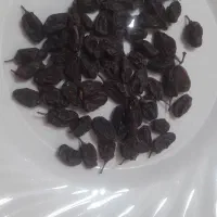 کشمش تازه وخوب