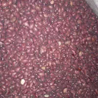 لوبیا قرمز بوجاری شده