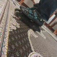 کفش اسکیت