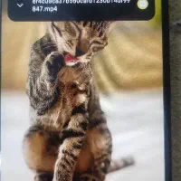 موبایل|موبایل|تهران, بیسیم|دیوار