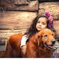 گلدن روتریور اسکاتلندی