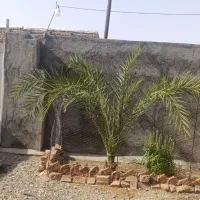 منزل درتمپ ریگان