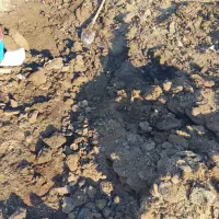 کود حیوانی برای باغداران عزیز کود دو سه ساله|خدمات باغبانی و درختکاری|نختالو, |دیوار