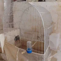فروش قفس ولونه پرنده|لوازم جانبی حیوانات|سبزوار, قصبه شرقی|دیوار