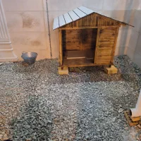 لانه و کلبه سگ بزرگ