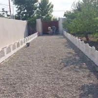 باغ-و-باغچه