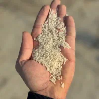 فروش برنج و نیم دانه بصورت ۱۰ کیلو مصارف خانگی|خوردنی و آشامیدنی|تهران, فلسطین (میدان انقلاب)|دیوار