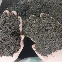 چای و زندگی|خوردنی و آشامیدنی|رشت, نامجو|دیوار