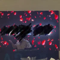 TV-Wall