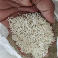 برنج هاشمی|خوردنی و آشامیدنی|قم, بنیاد|دیوار