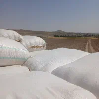 کاه گندم دیم همدان