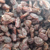 کشمش و مویز افتابی بیضا