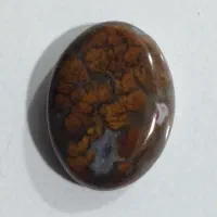 شجر پایزه|جواهرات|قائن, |دیوار