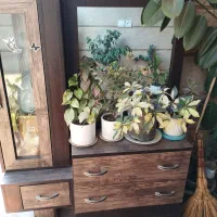 چند تیکه لوازم خانه|تخت و سرویس خواب|گنبد کاووس, |دیوار