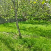 دهبکری زمین و باغ