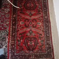فرش دست بافت|فرش|سنندج, |دیوار