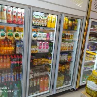 واگذاری پروتیین  سلامت|فروشگاه و مغازه|بجنورد, |دیوار