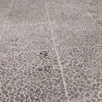 جرم گیری وکف سابی