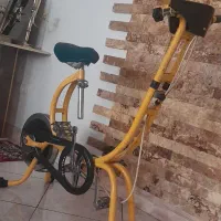 دوچرخه ورزشی