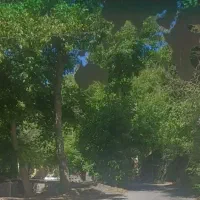 تور شاد شمال