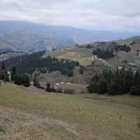 فروش-زمین-زراعی-16000-متر-سند-تک-برگ