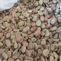 باقله|خوردنی و آشامیدنی|چگنی, |دیوار