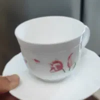 فنجون|ظروف سرو و پذیرایی|تهران, صفا|دیوار