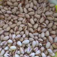 پسته احمداقایی رفسنجان مستقیم از کشاورز|خوردنی و آشامیدنی|تهران, منصوریه منگل|دیوار