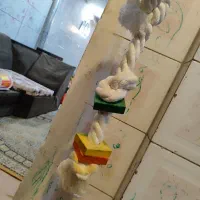 وسیله بازی پرندگان ...