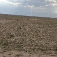 اجاره دوقطعه زمین برای کاشت زعفران