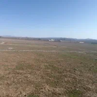 فروش زمین مسکونی|فروش زمین و ملک کلنگی|چگنی, |دیوار