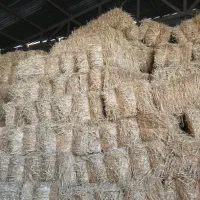 خوراک دام|عمدهفروشی|گیلان غرب, |دیوار