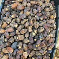 فروش خرمایه بریم