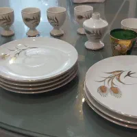 ظروف کلکسیونی ژاپنی