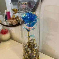 باکس شیشه ای گل رز جاودان روز مادر|گل مصنوعی|کرج, باغستان|دیوار