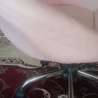 جاکفشی.قاب عکس .صندلی چرخدار