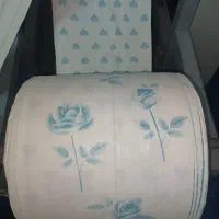 سفره یک بارمصرف|ظروف نگهدارنده، پلاستیکی، یکبارمصرف|تهران, شکوفه (عبدل آباد)|دیوار