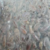انواع خرما