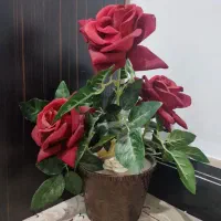 گل رز همراه با گلدان
