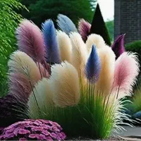 باغبانی حرفه ای|خدمات باغبانی و درختکاری|اهواز, بهارستان|دیوار