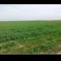 زمین-کشاورزی