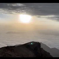 داوطلب ورزش